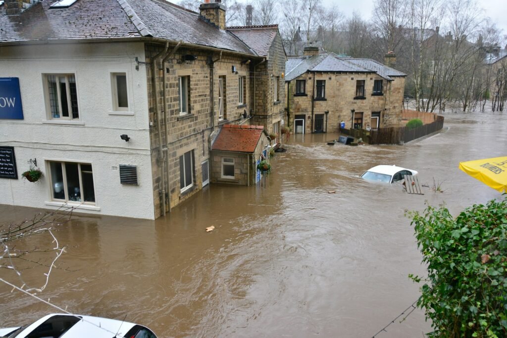 survie catastrophe naturelle